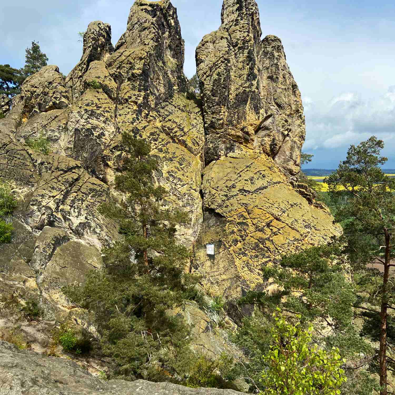 Harz 2026
