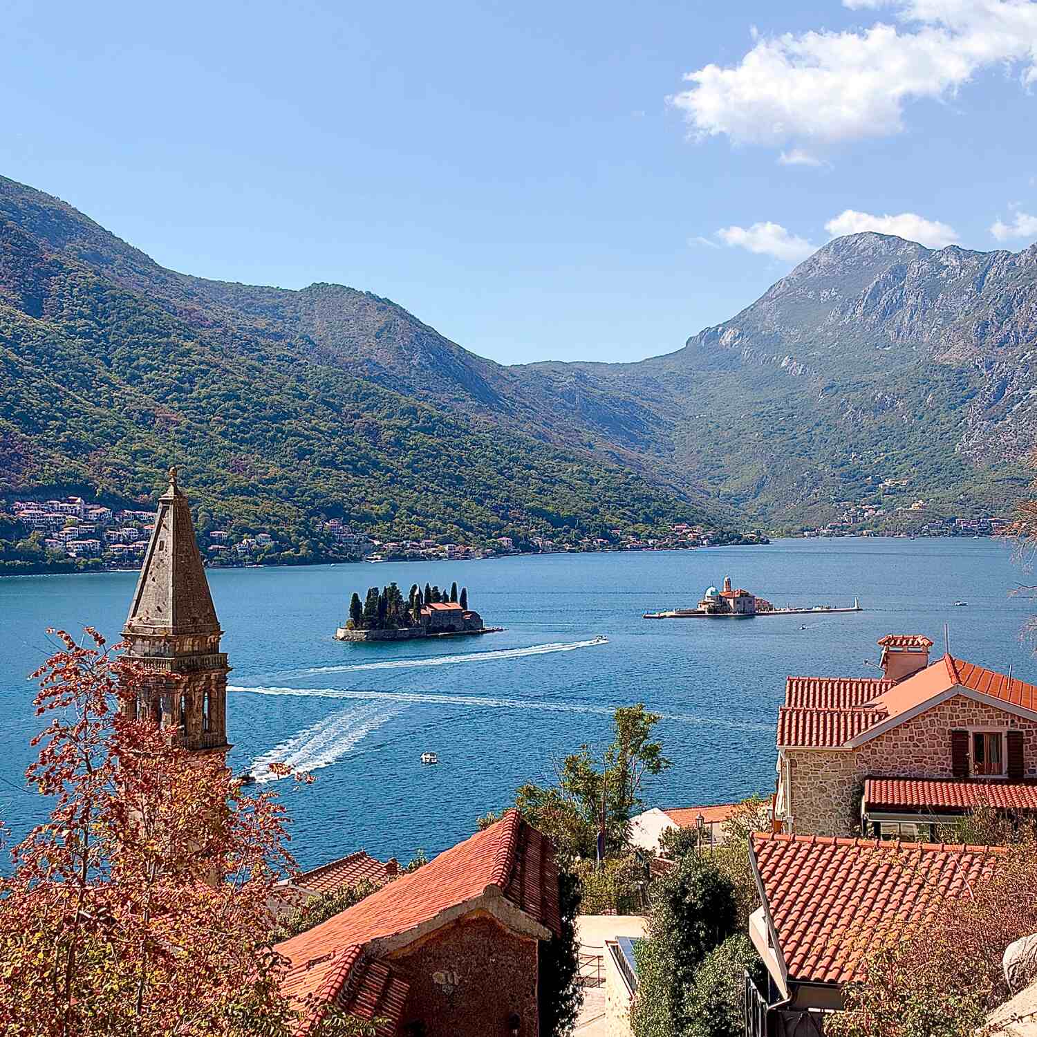 Montenegro 🇲🇪