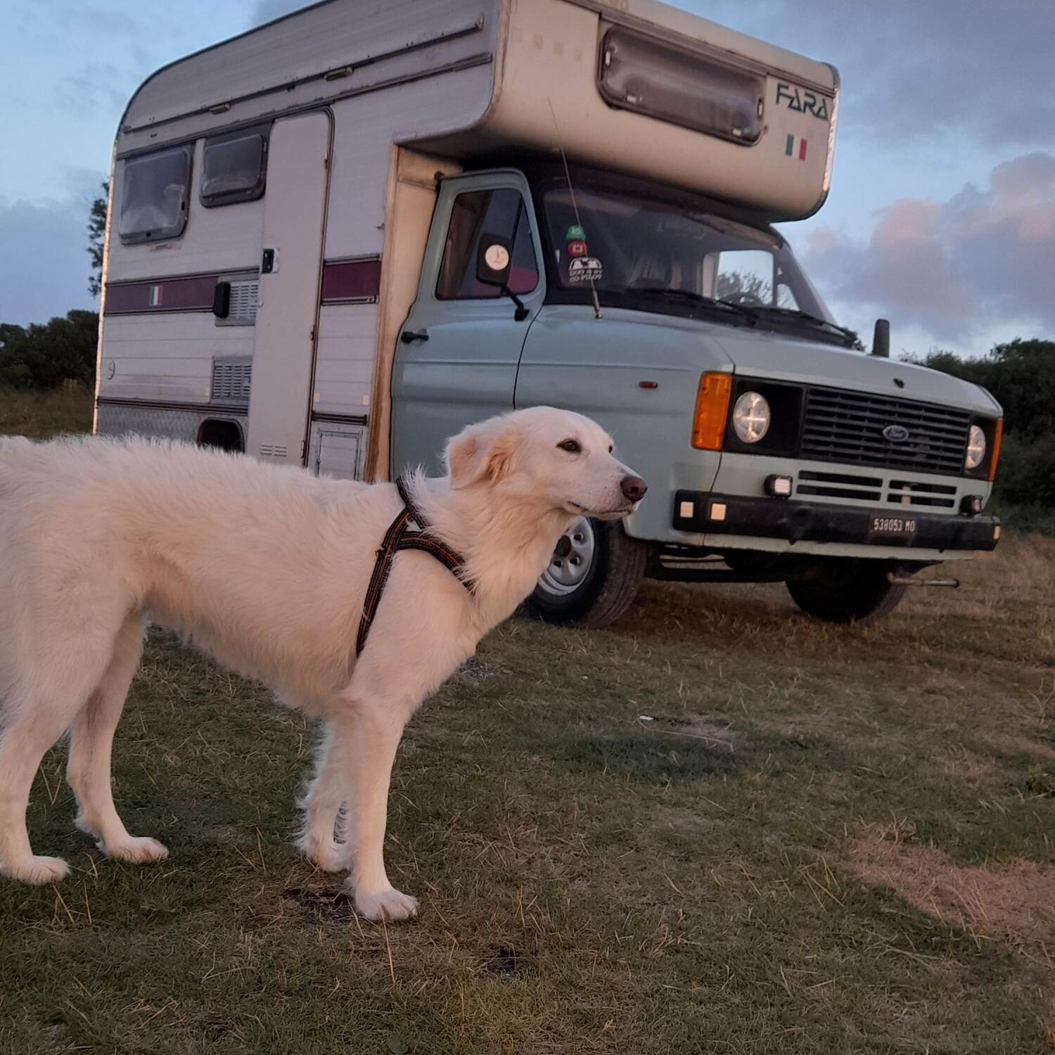 IRELAND IN CAMPER