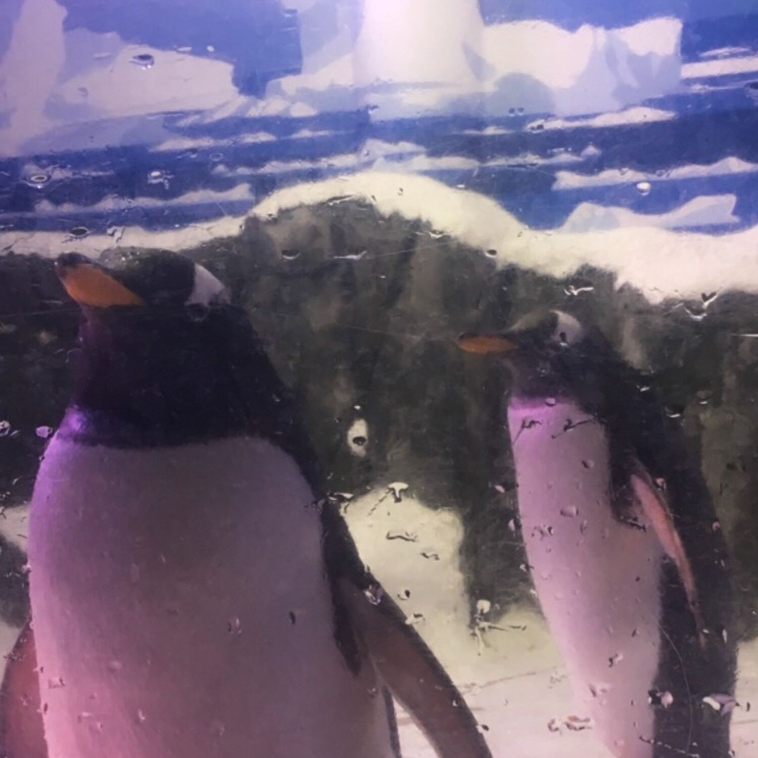 🇩🇪1day-trip: Konstanz 2019