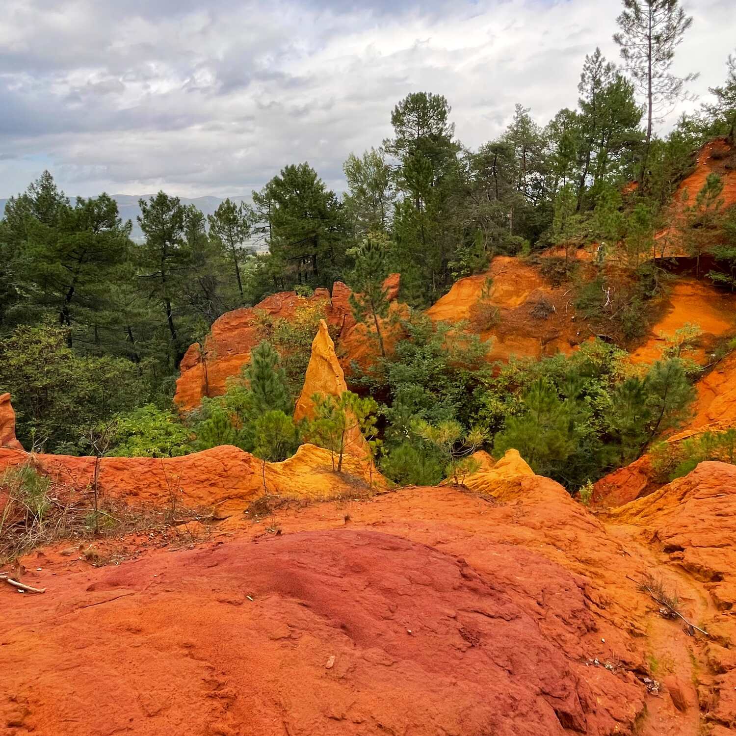 Oktober 2024 - Provence