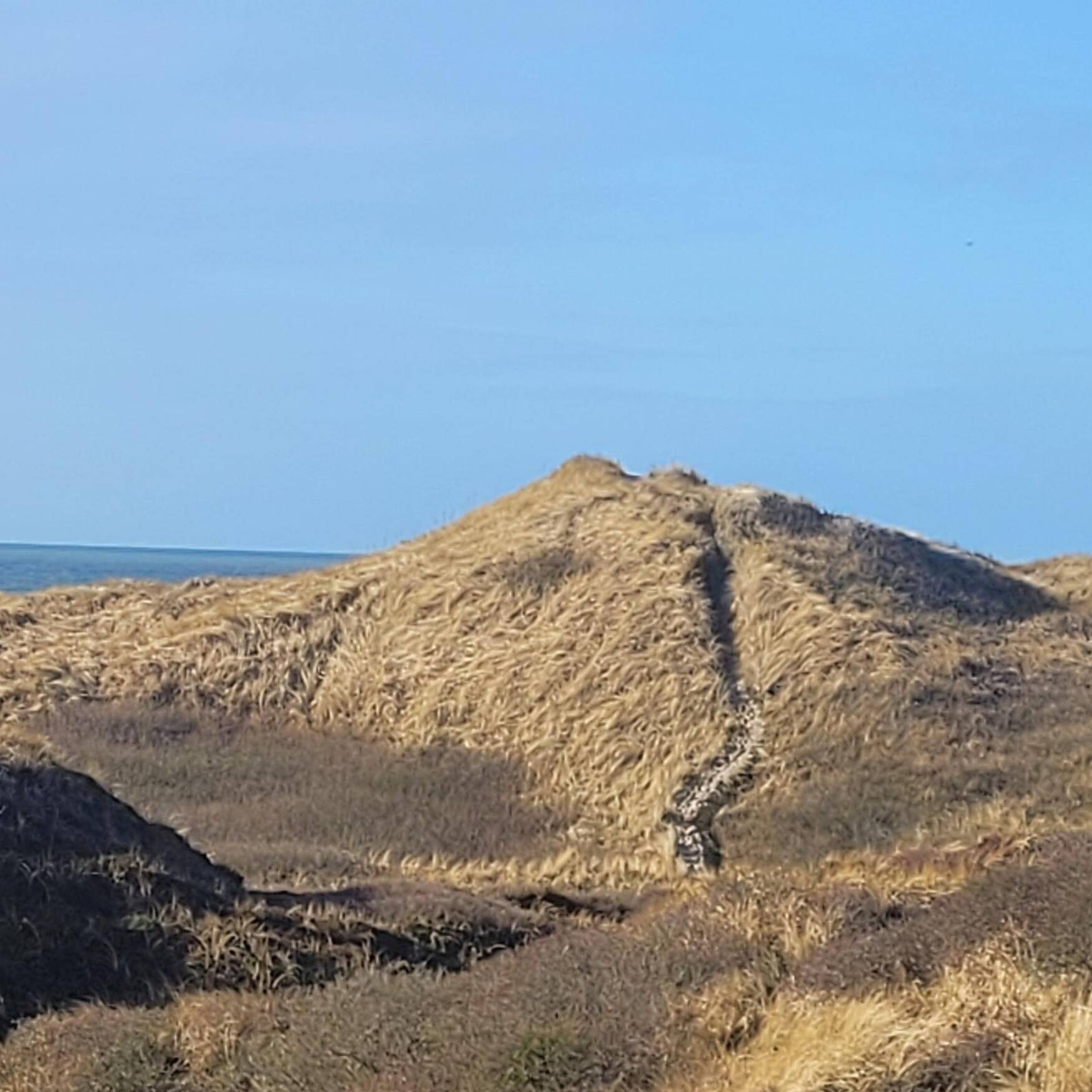 Dänemark, Henne Strand