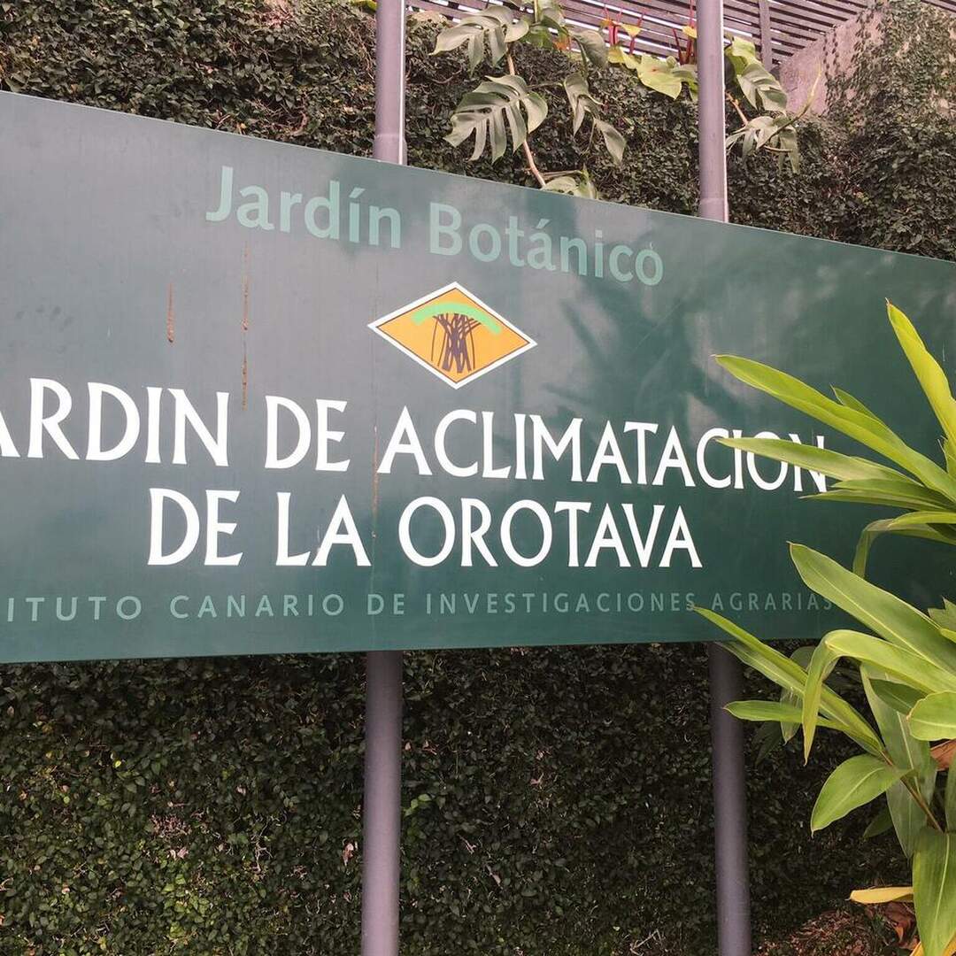 Botanico
