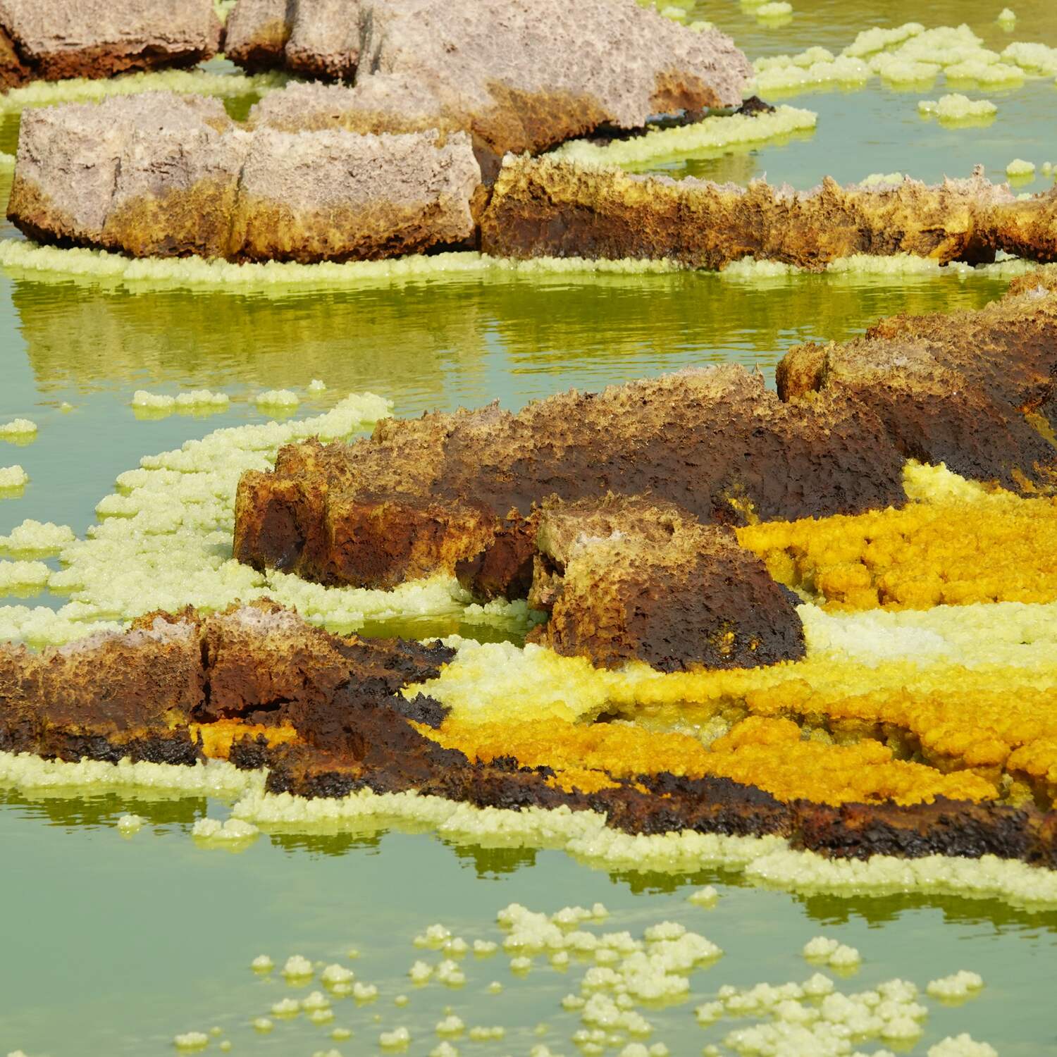 Durch die Wüste Danakil