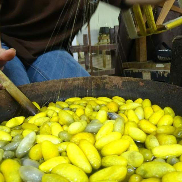 Abschied von Chiang Mai