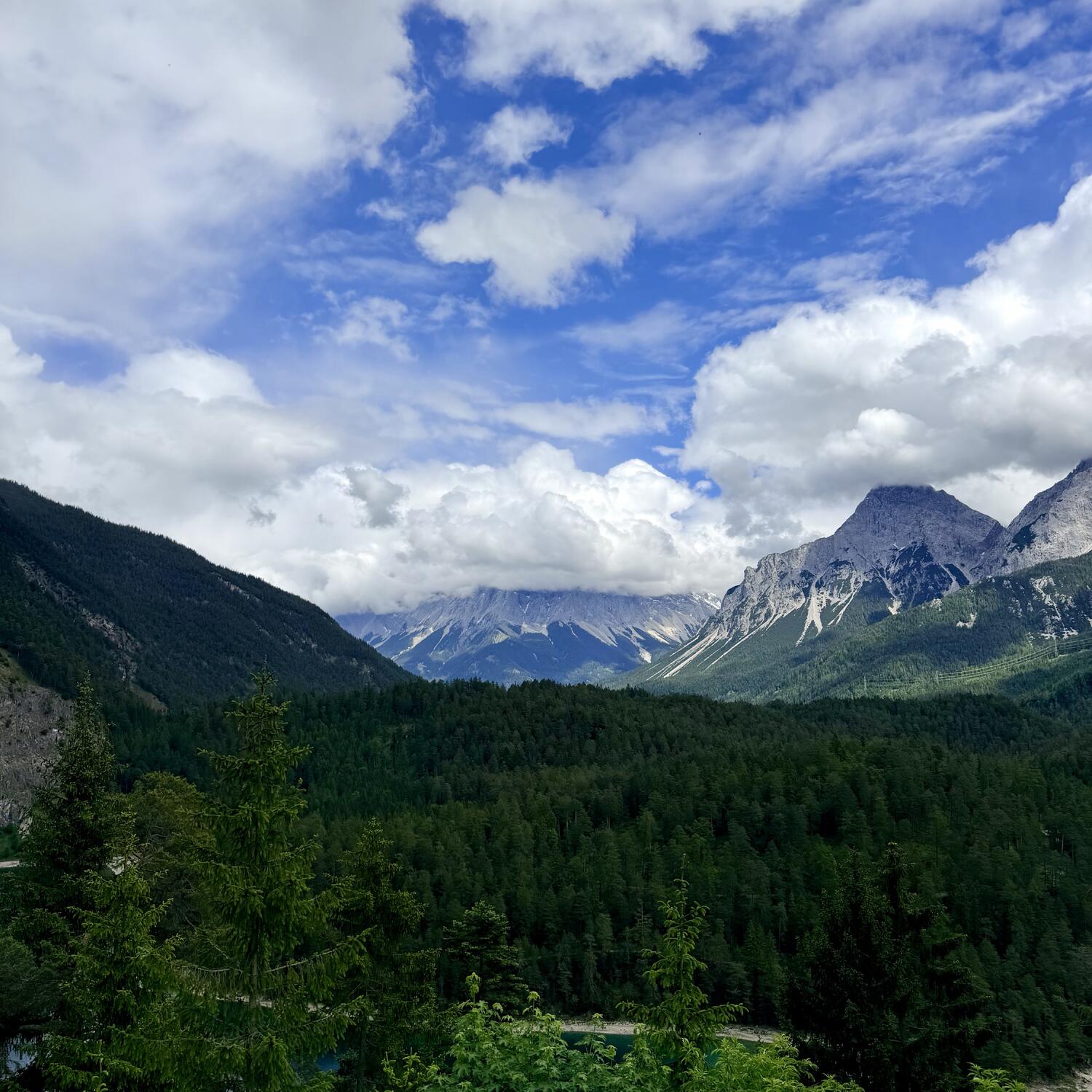 Fernweh auf vier Pfoten