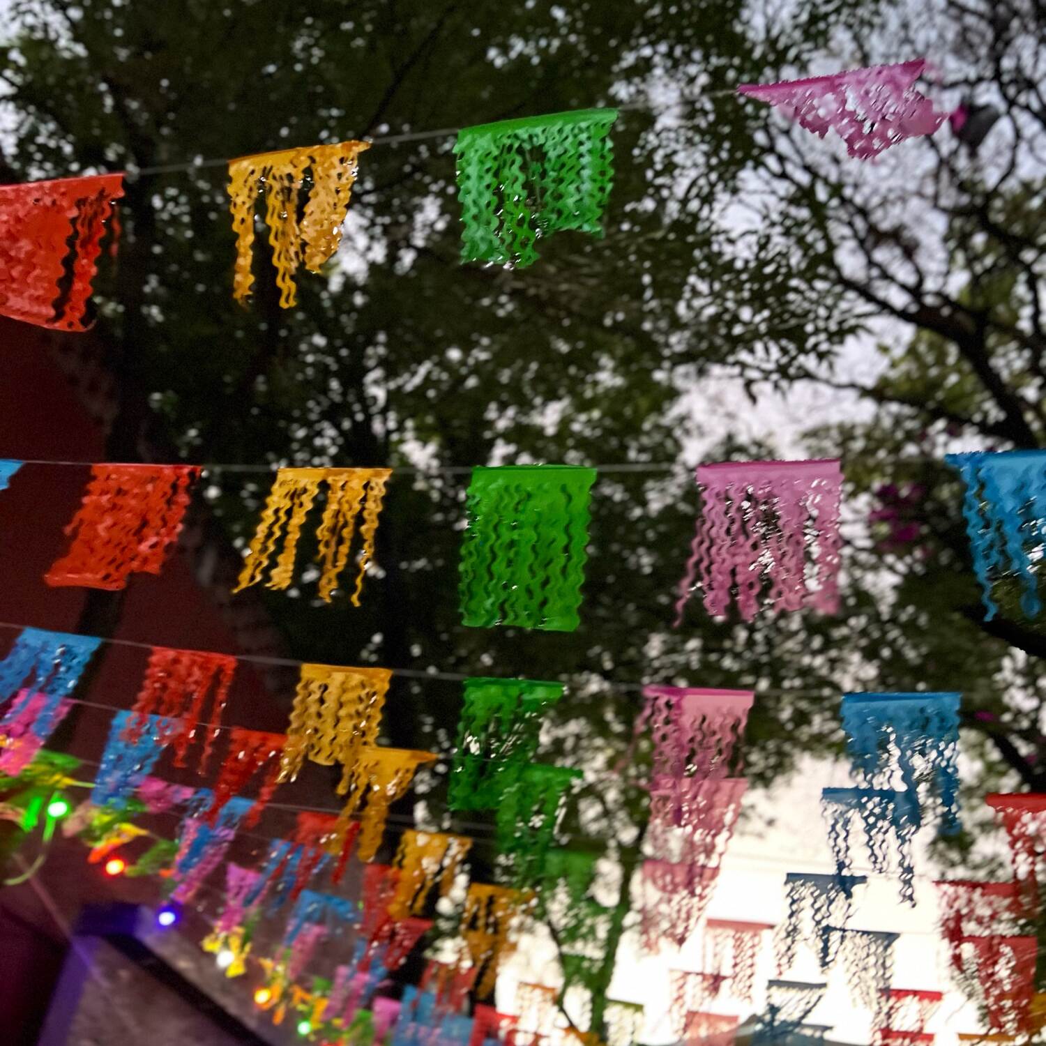 Mexico 🇲🇽