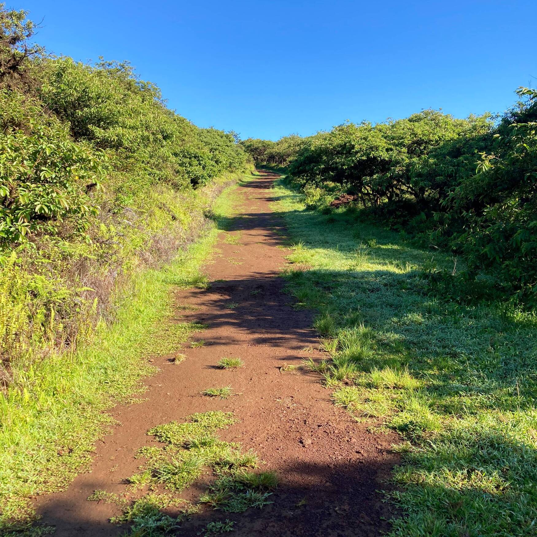 Galapagos/Ecuador