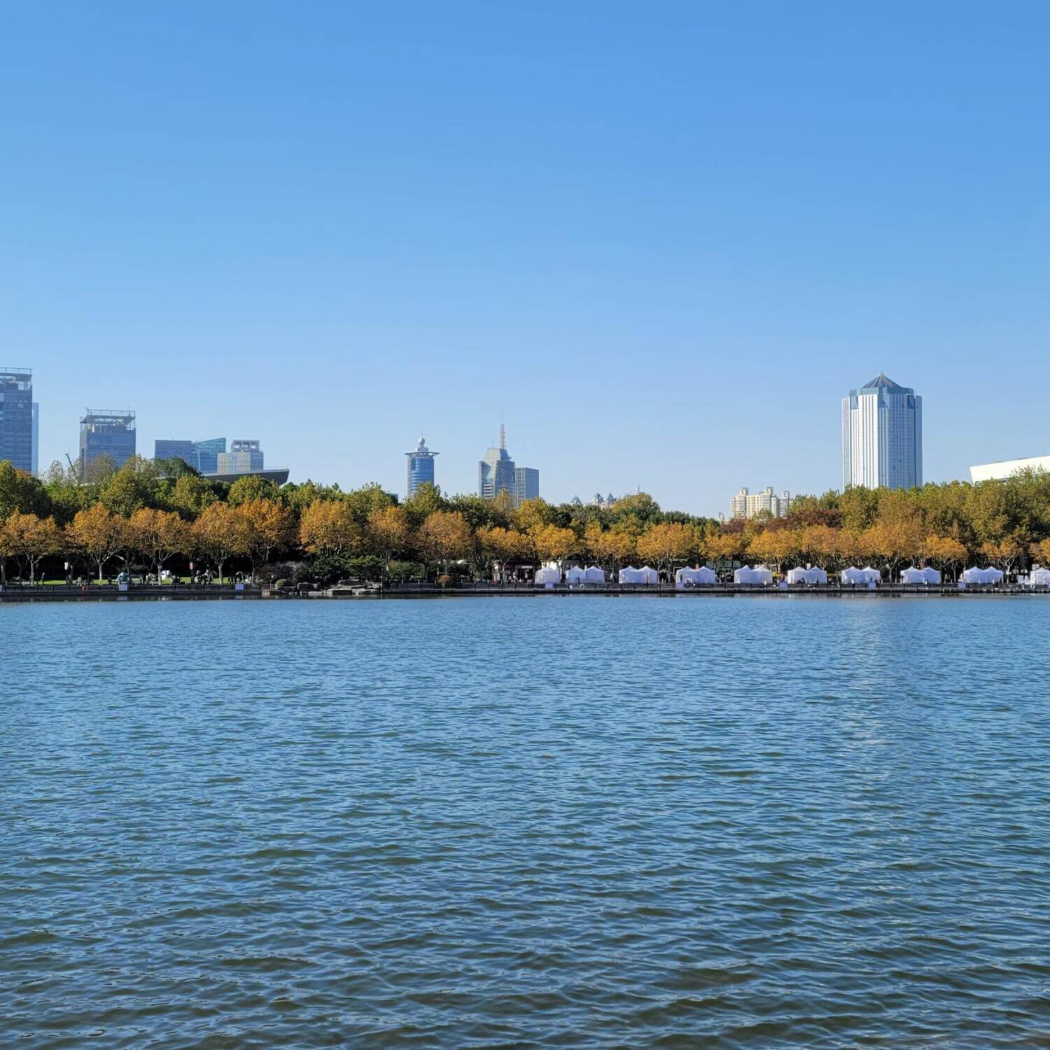 上海浦东世纪公园 Century Park