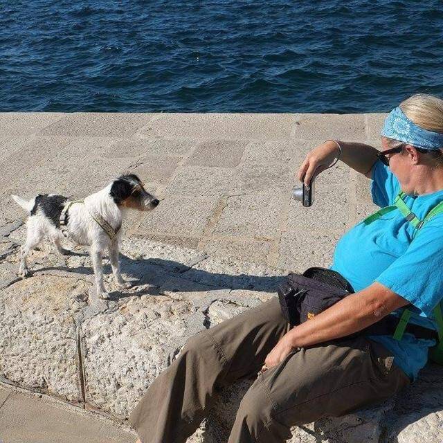 DogsInn Carinthia