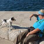 DogsInn Carinthia
