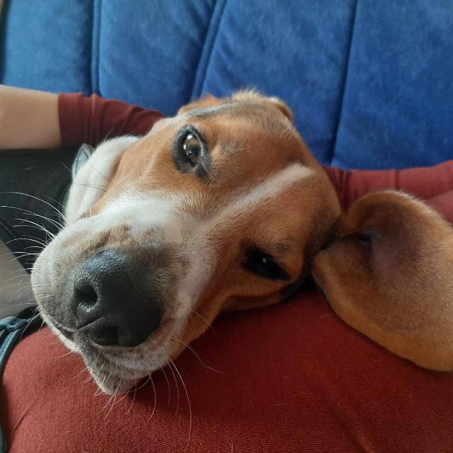 Toniii