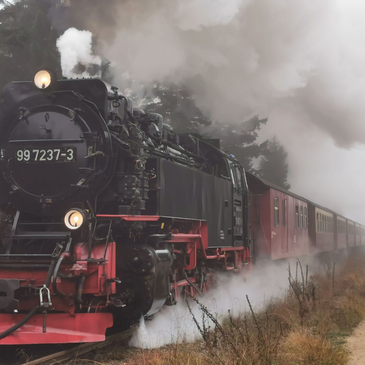 Hiking Trail Hexenstieg Harz