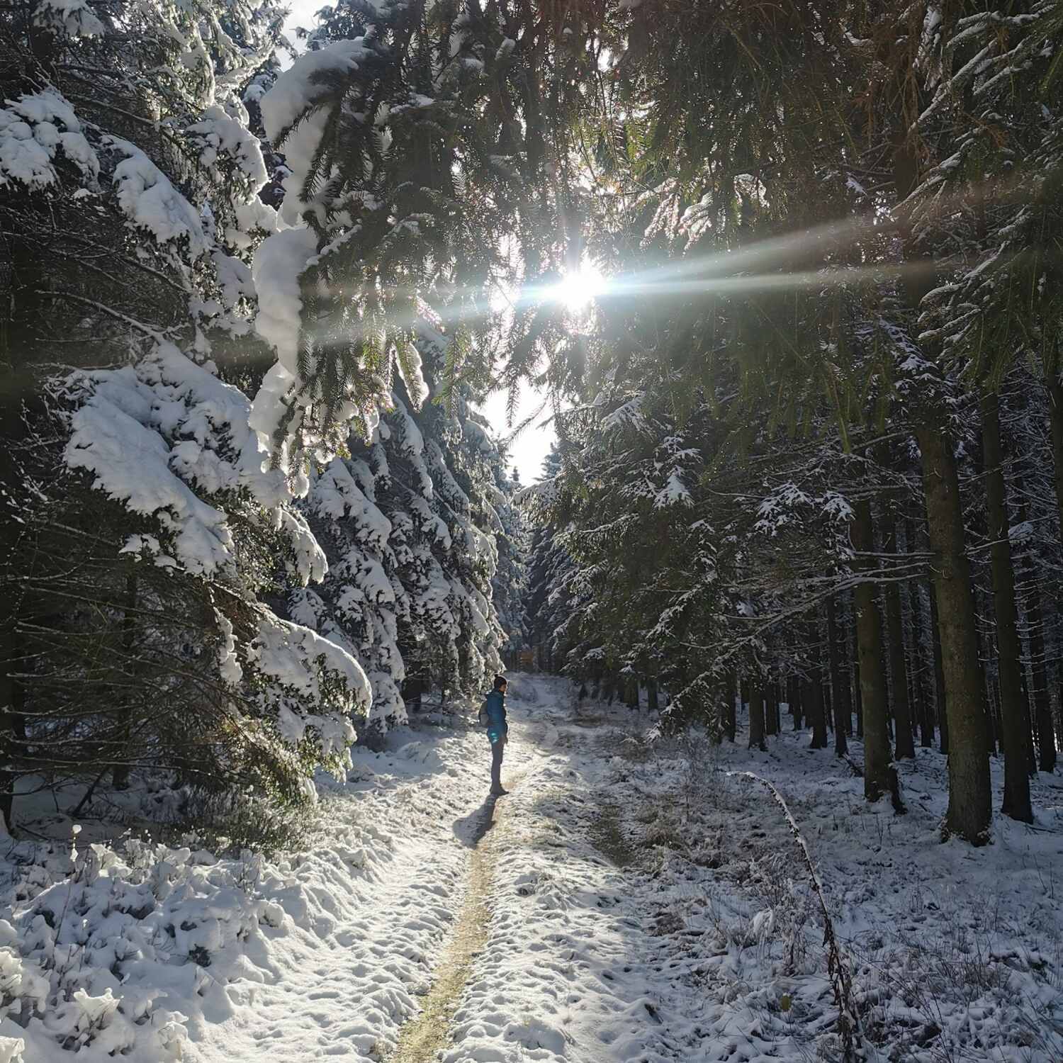 Highlights im Herbst