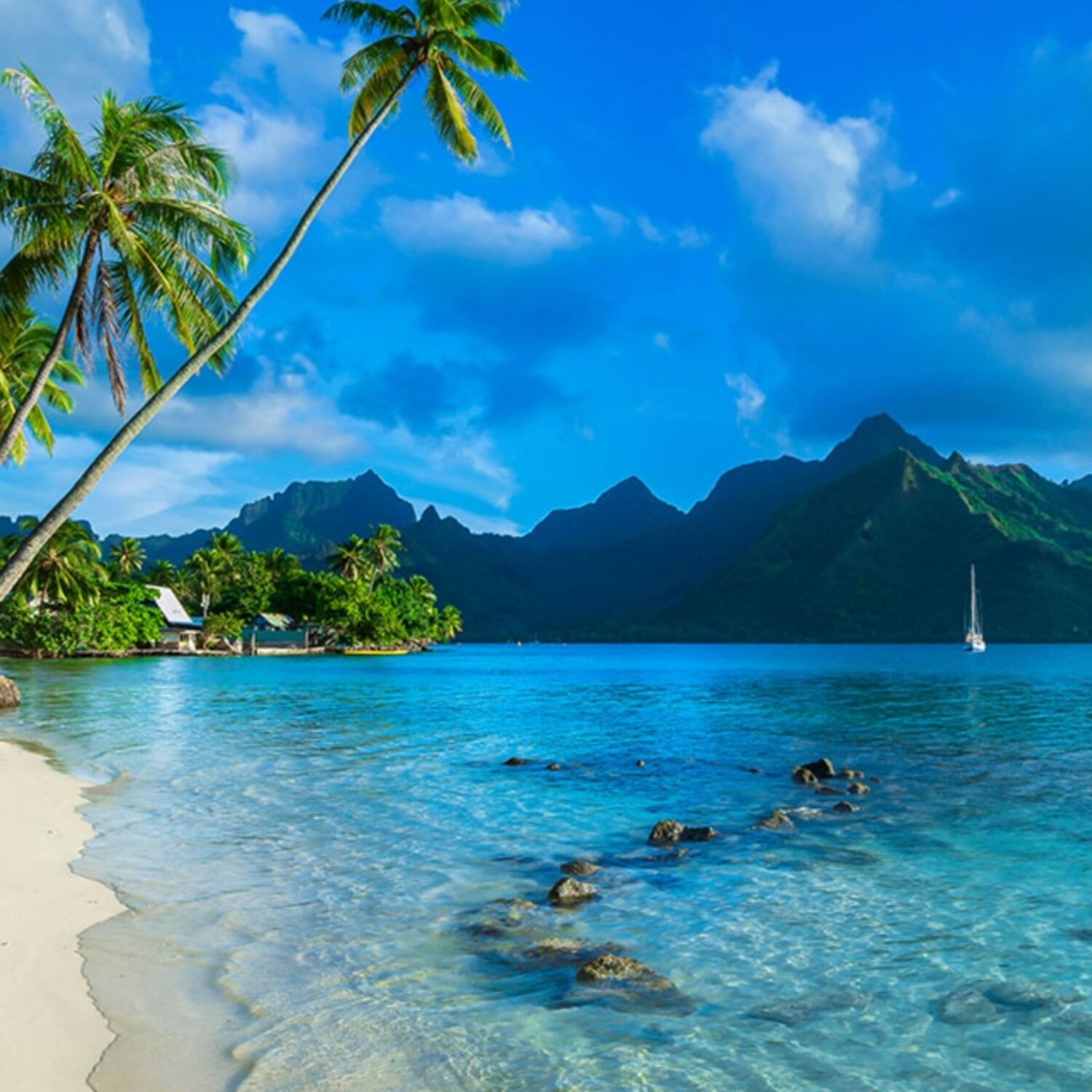 Around the world in 35 days