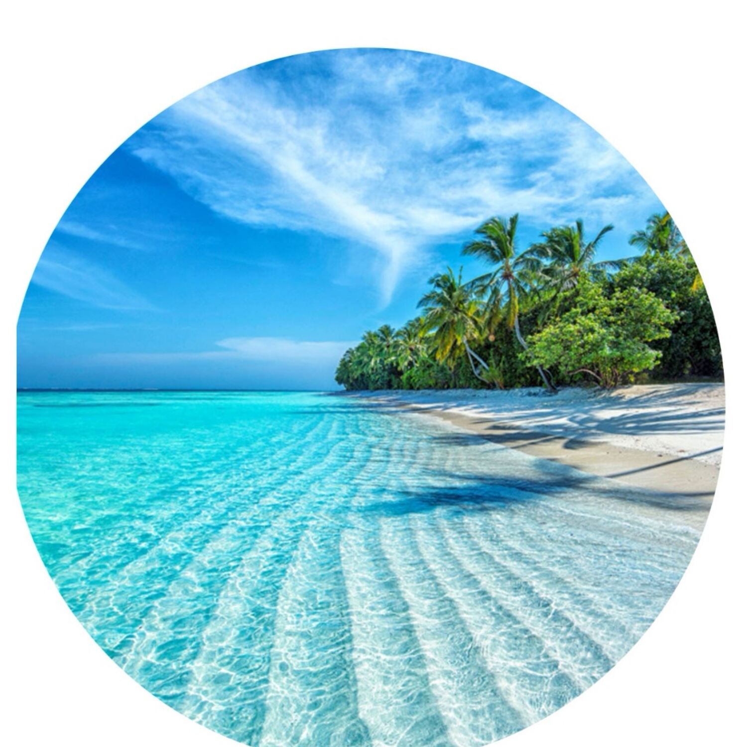 Around the world in 35 days