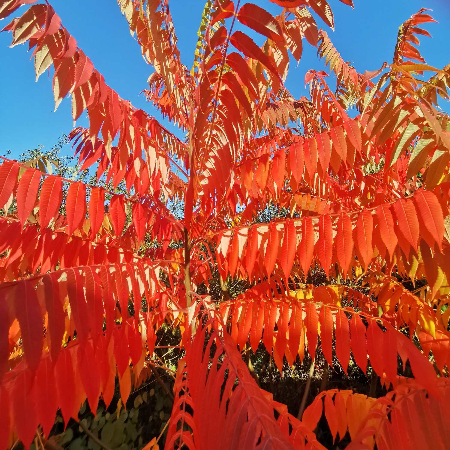 From Indian Summer to Winter