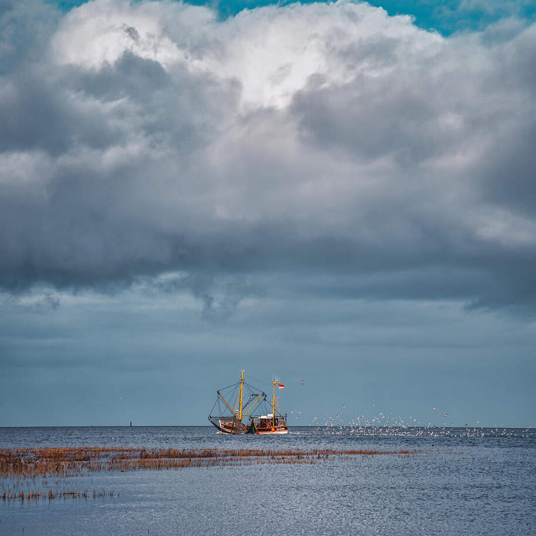 Herbst an der Nordsee 2020