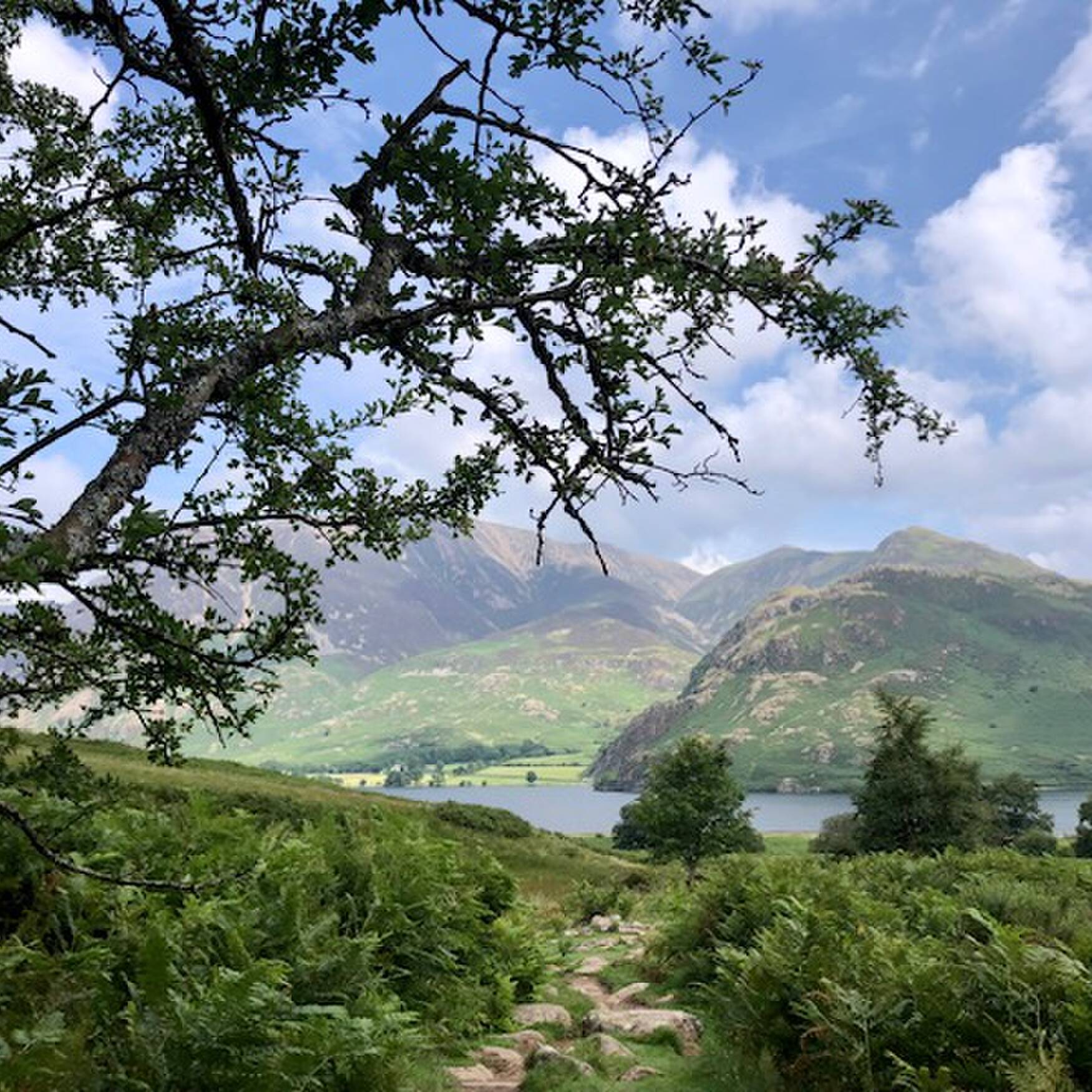 Lake District July 2023