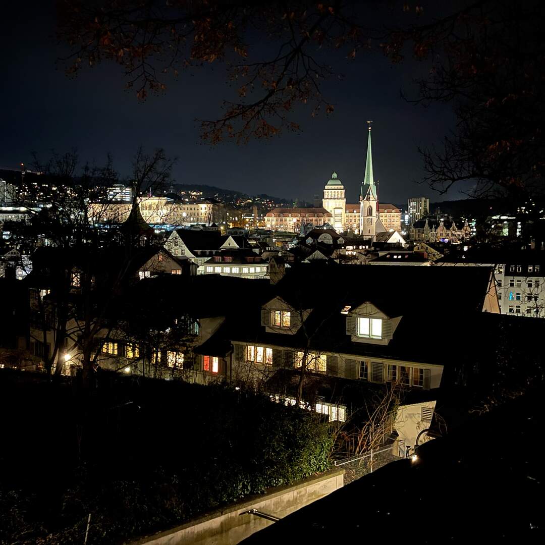 Erasmus in Zürich