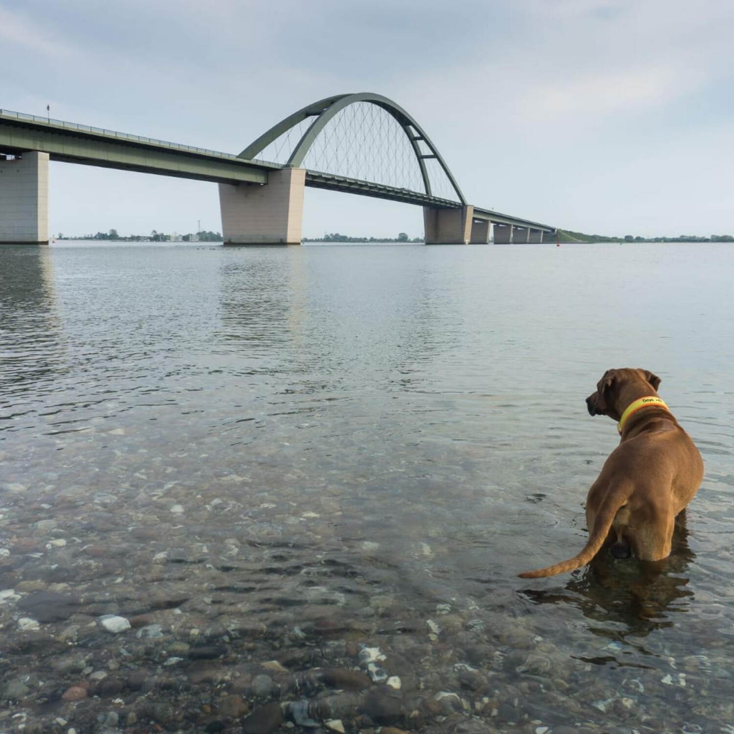 Fehmarn 2021 - CoVid vorbei