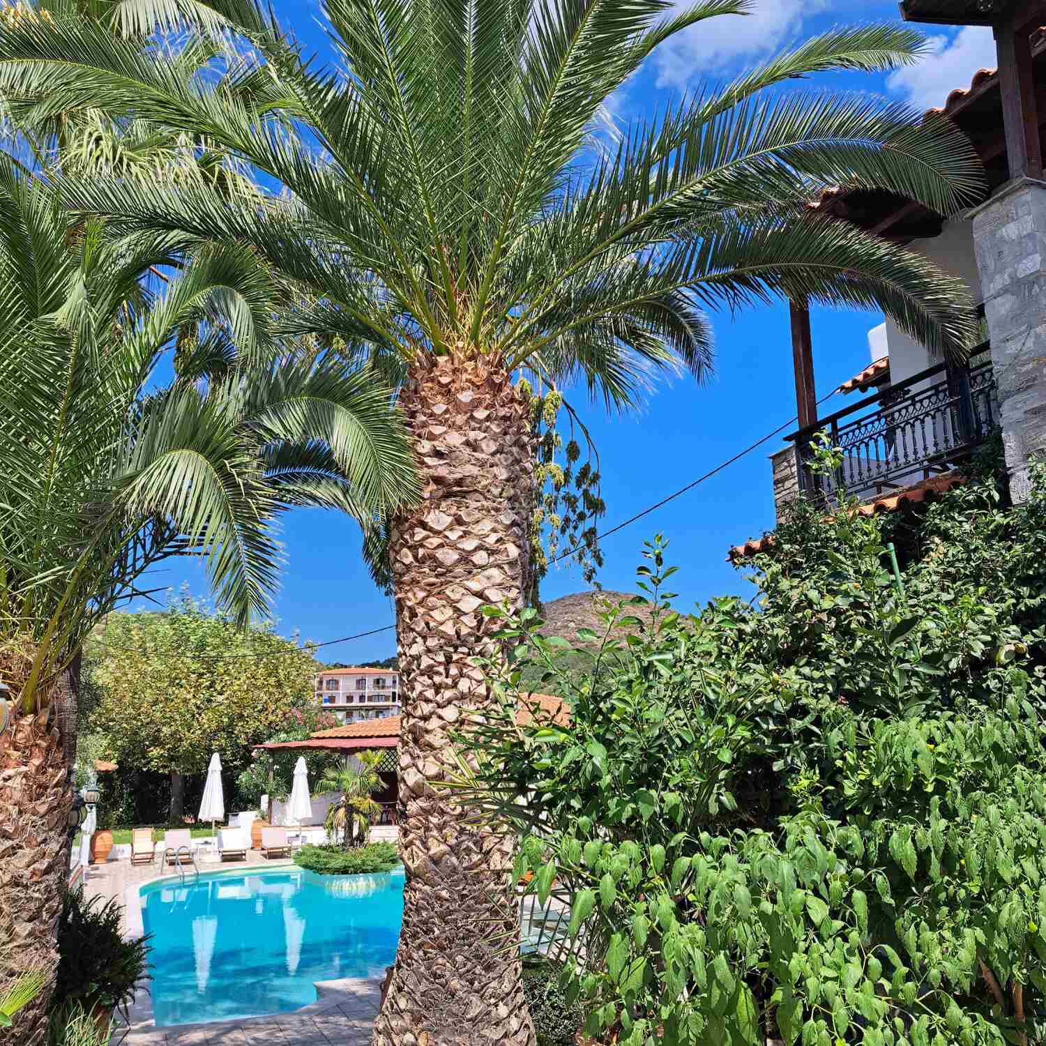 THESSALONIKI UND CHALKIDIKI