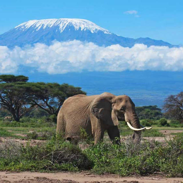 6 Days Machame Route