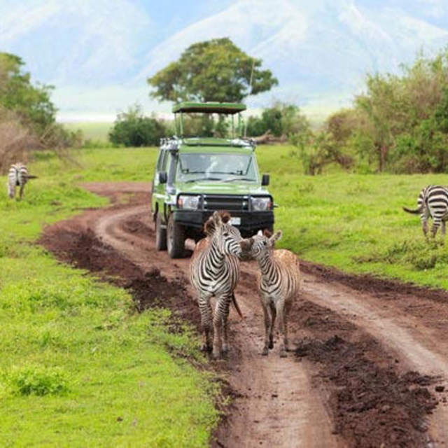 7 Days camping safari