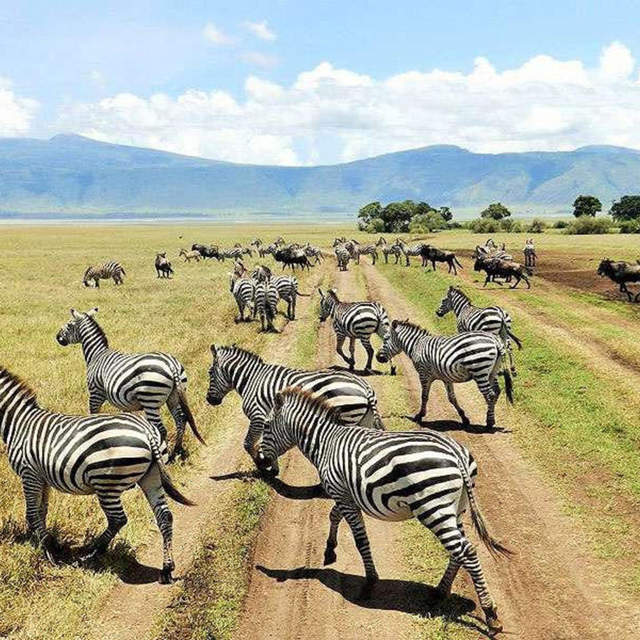 4 Days Serengeti National Park
