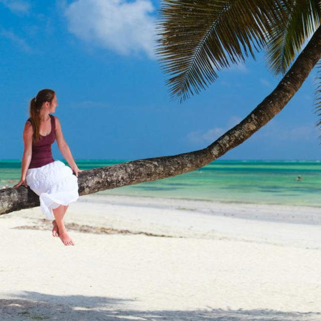 4 Days Dolphine in Zanzibar