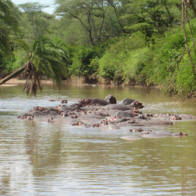 Ruaha National park