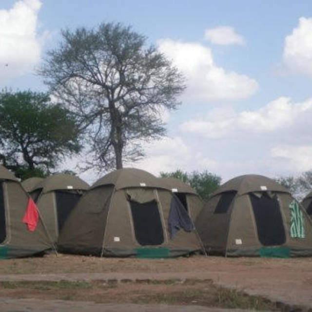 Safari camping Tent