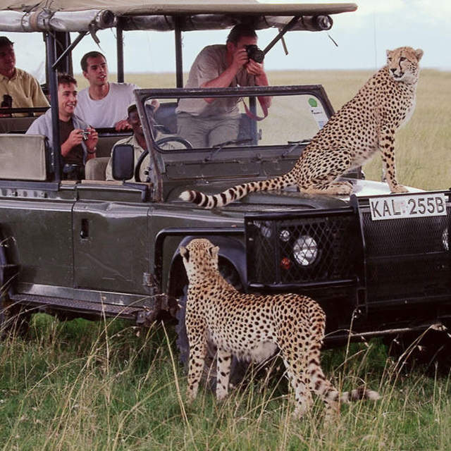 Tsavo kenya