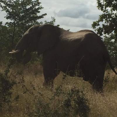 Sabie and KNP