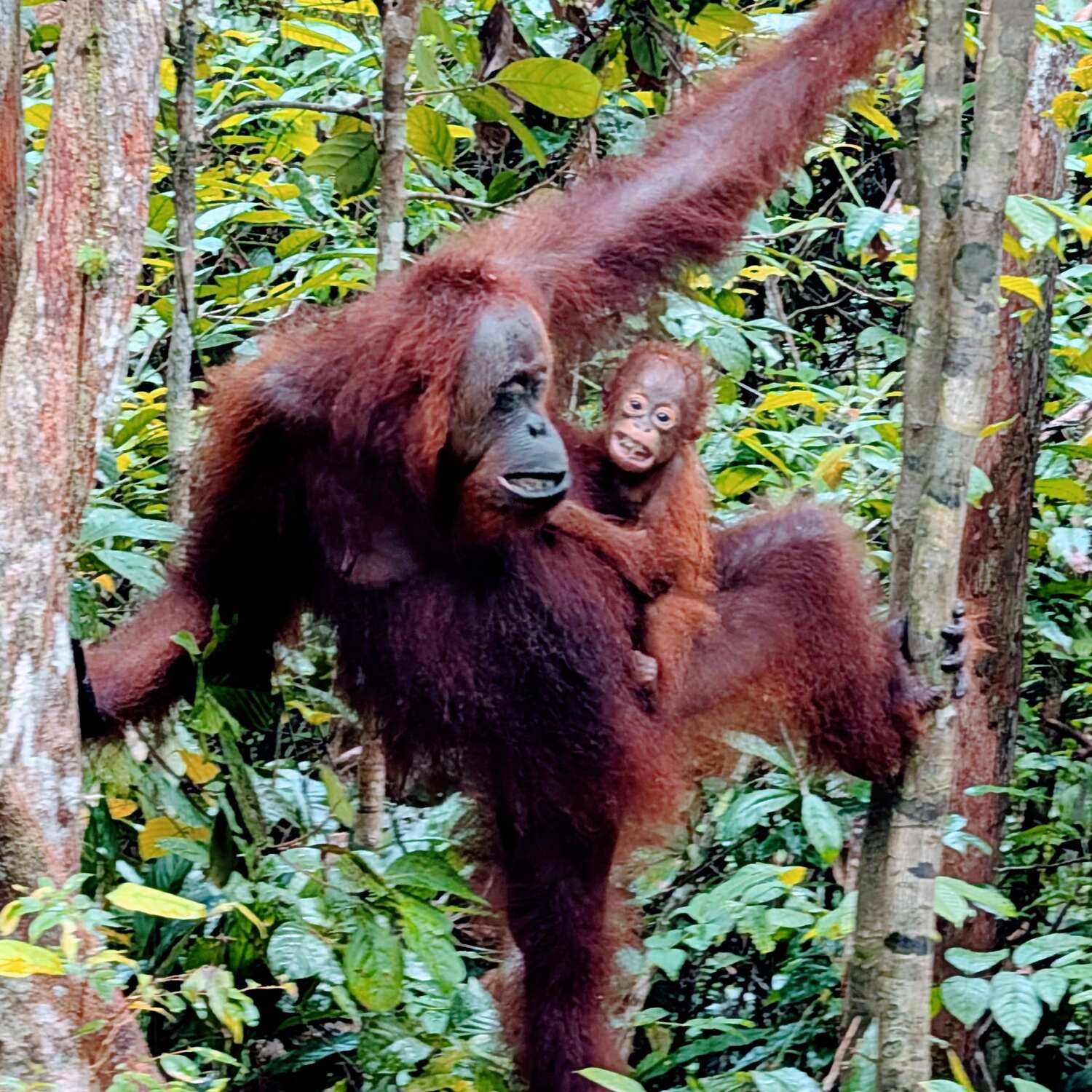 Istanbul,india,nepal, Bali...