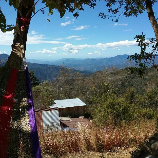 The Americas 2017 - 18