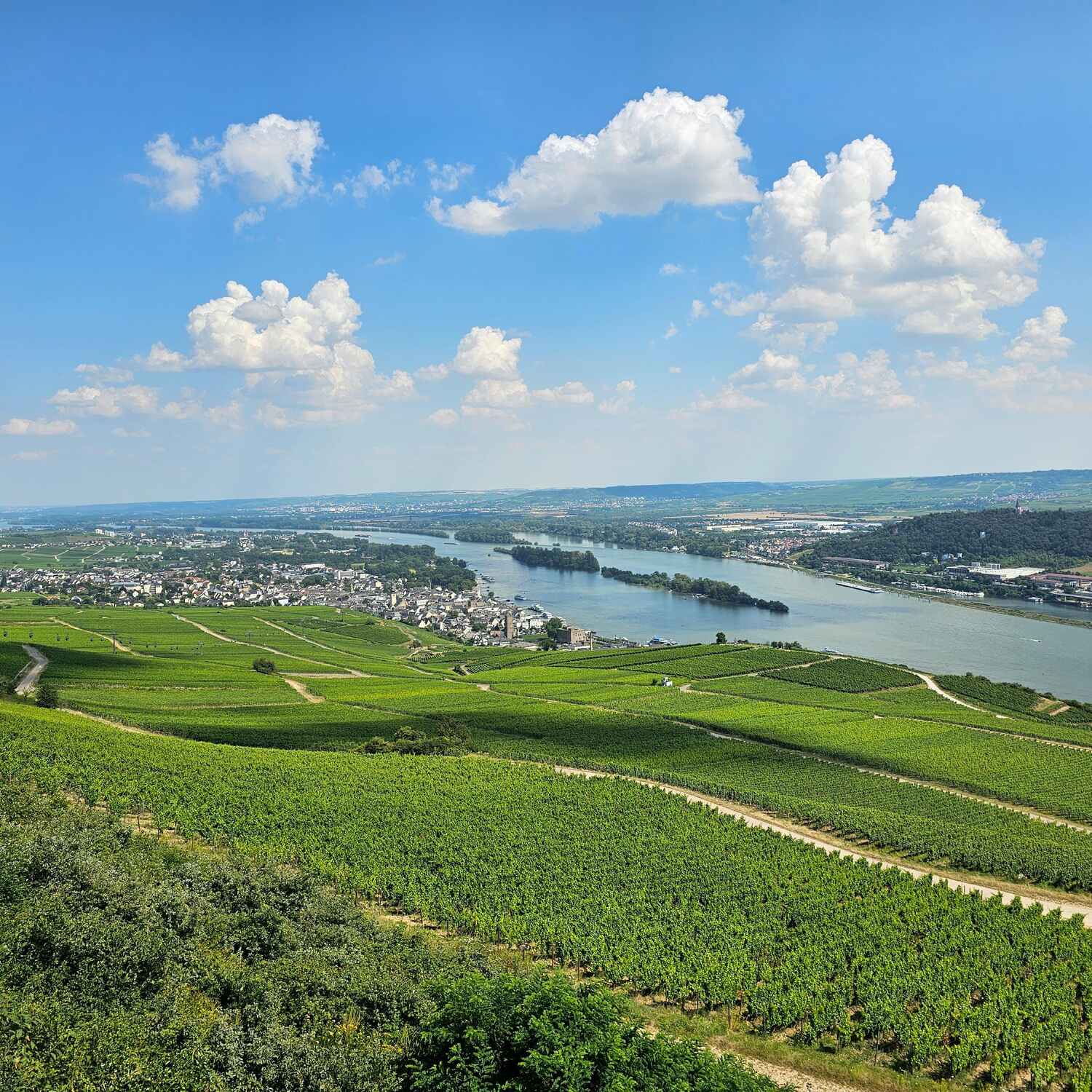 Kurzurlaub Rheingau Juli 2024