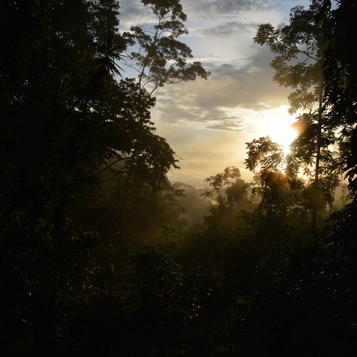 Américas