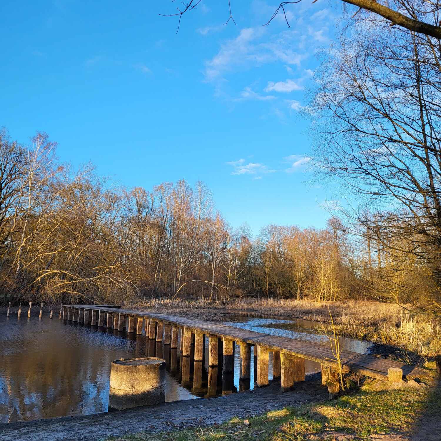 Zwischen Harz und Heide 2026