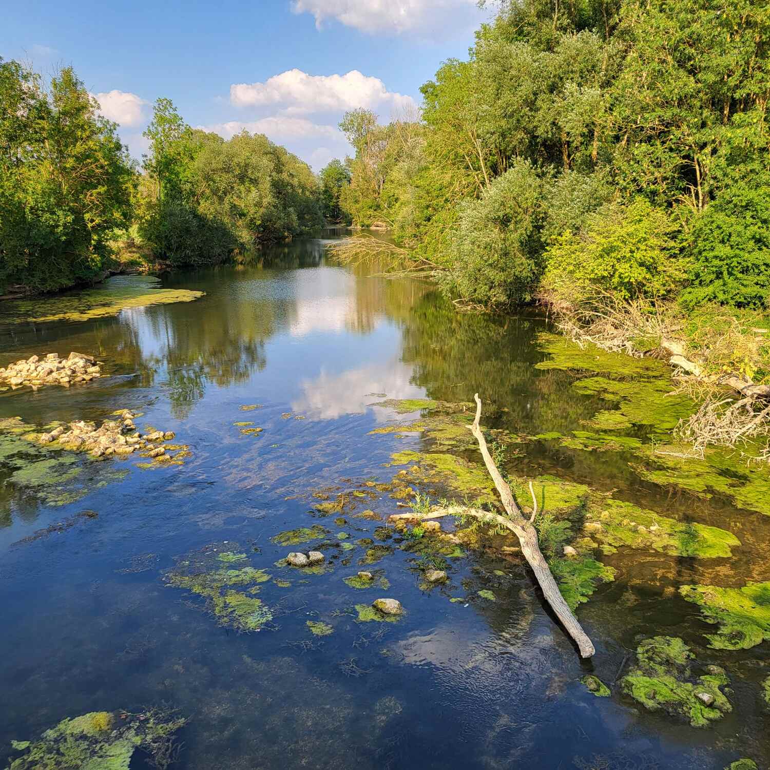 Frauenpower an der Maas