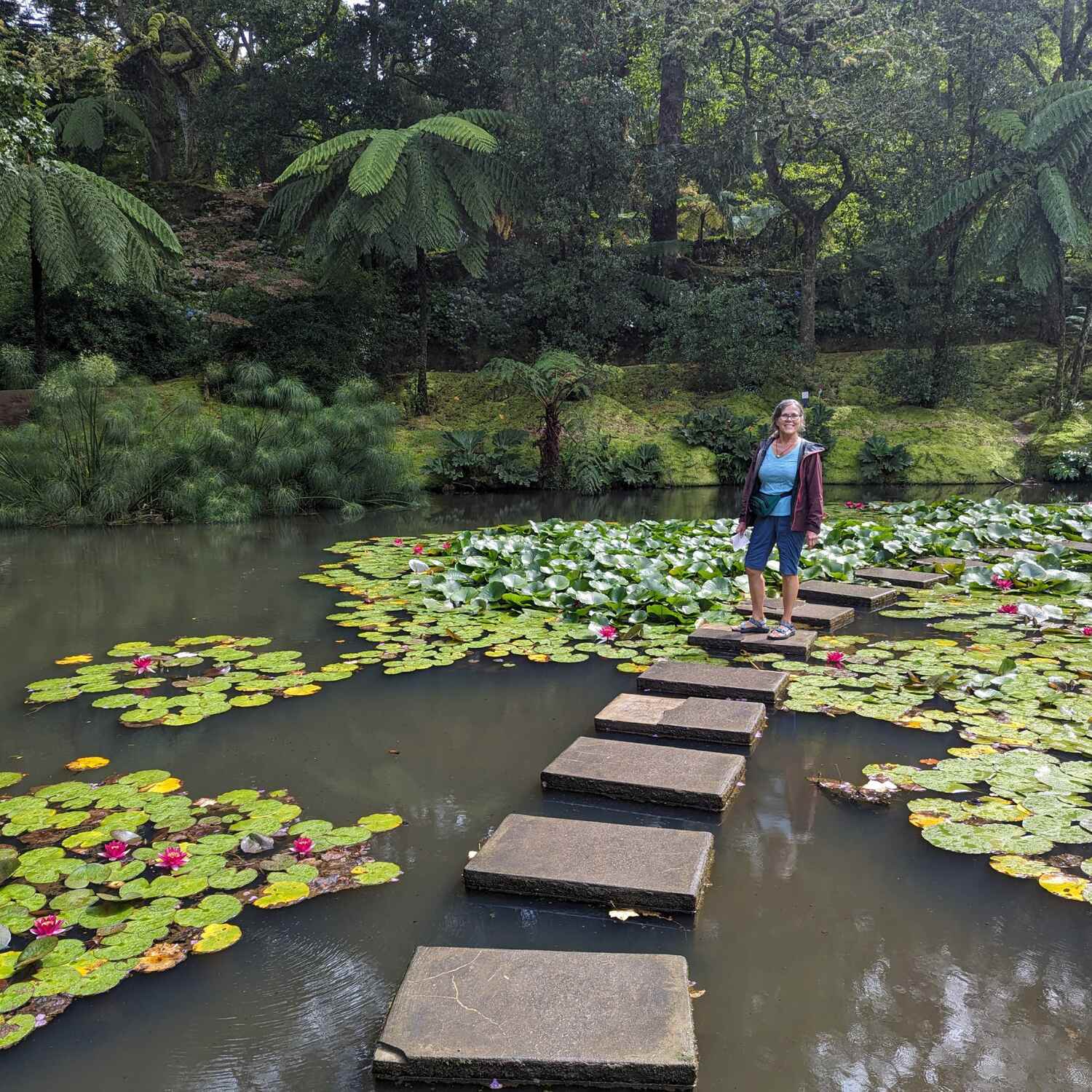 Azores and Camino 2023