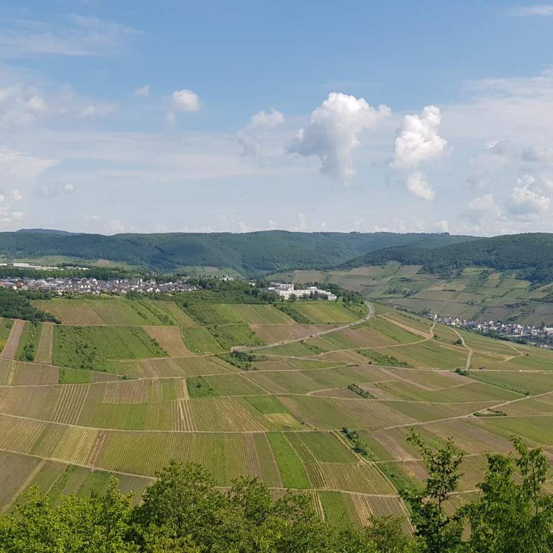 Ein bisschen Mosel