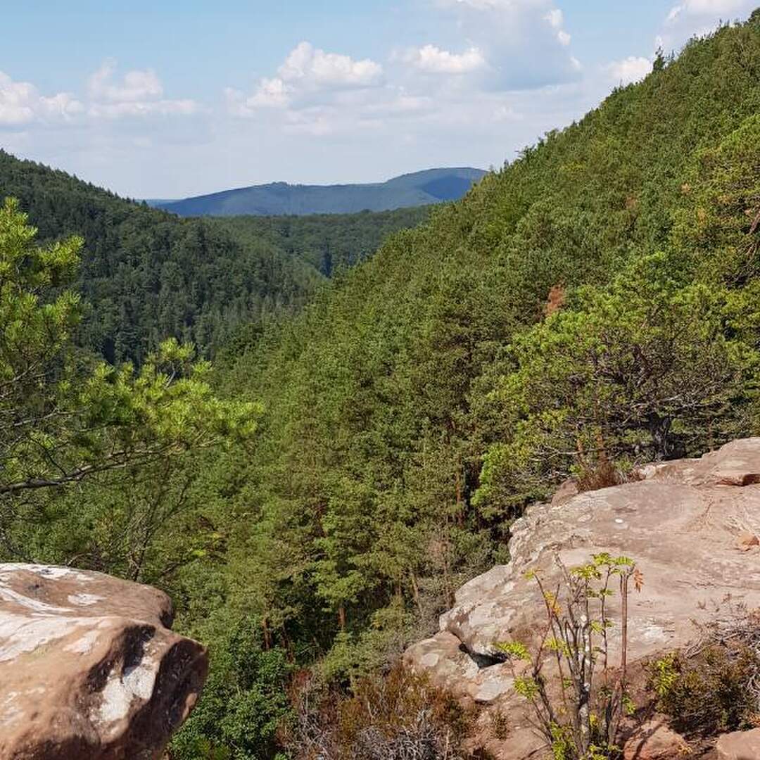Bären-Steig