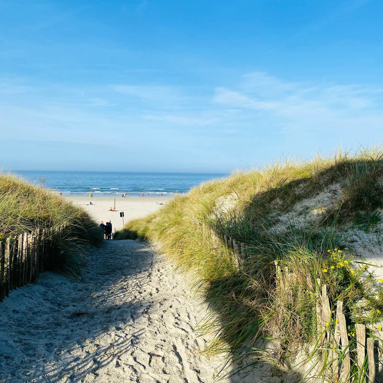 Nordsee die Zweite