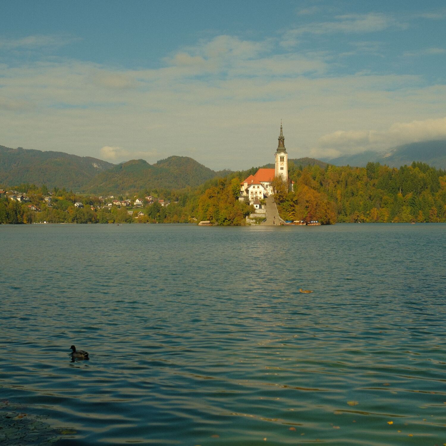 Itàlia i Eslovènia