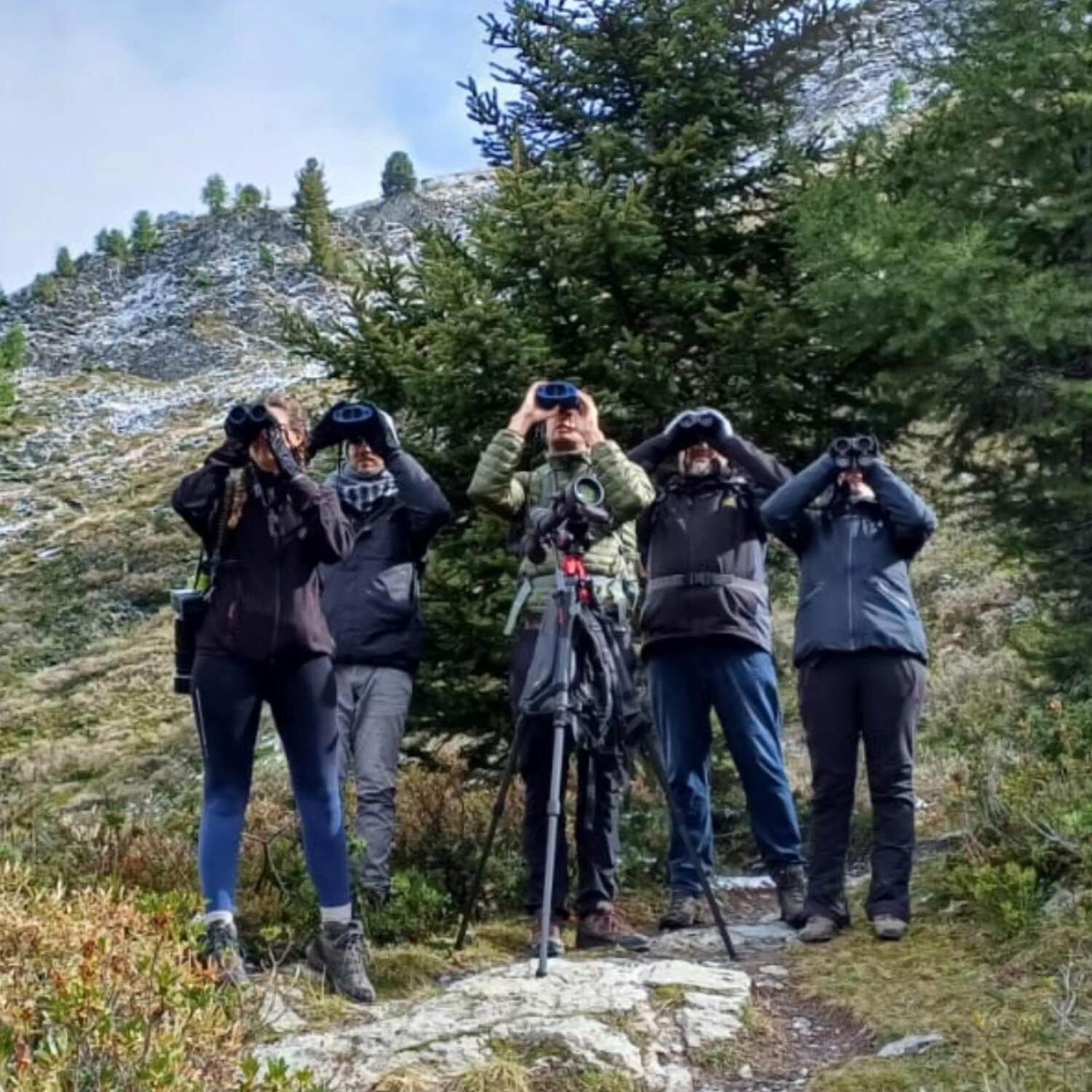 Swiss birding