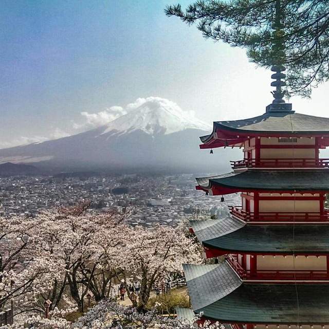Sakura Japan 2018