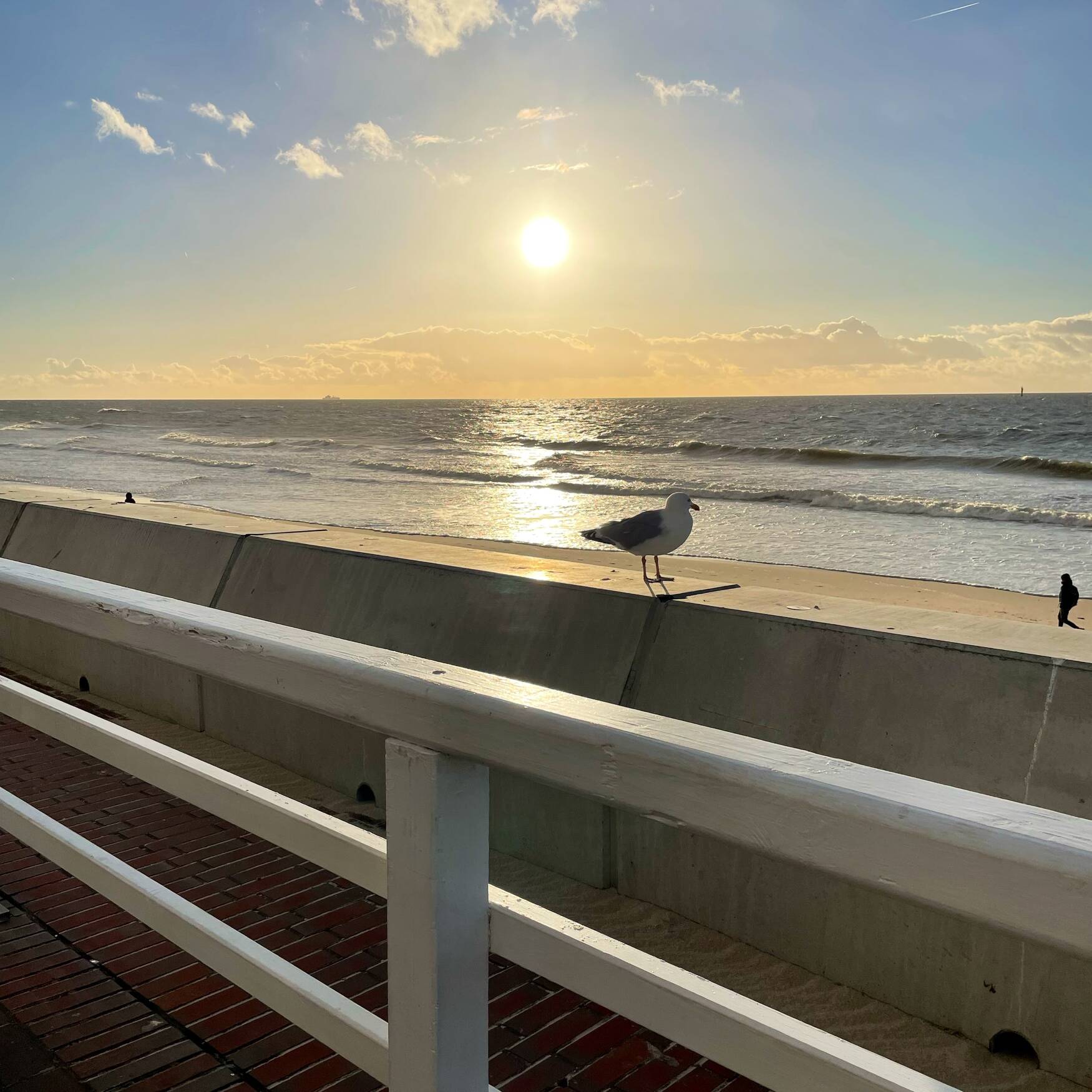 Sylt