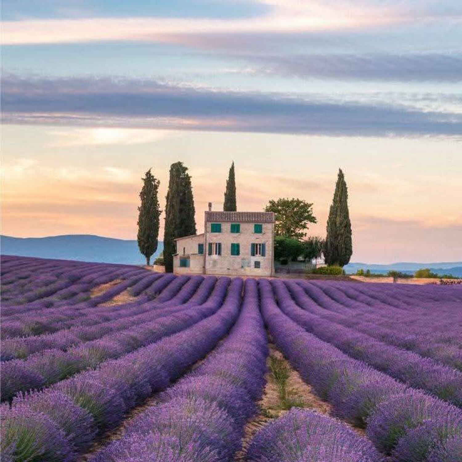 Provence