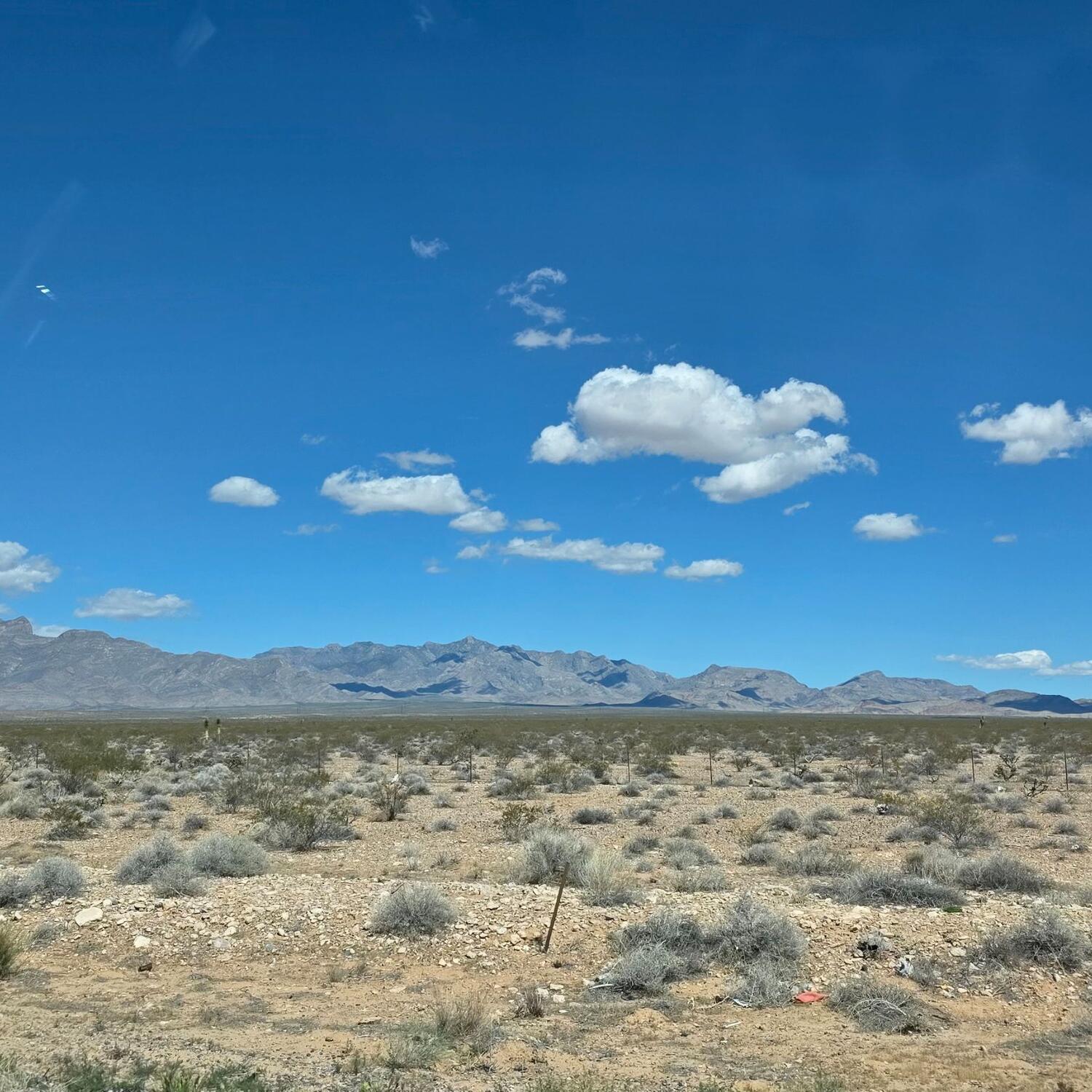 Road trip